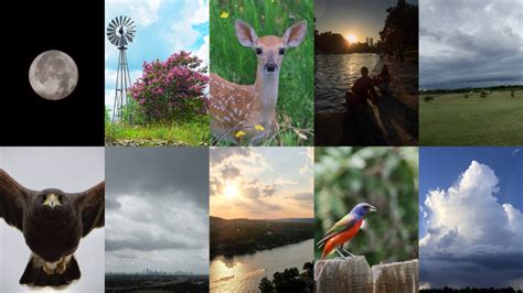 VOTE: Help us choose the best KXAN viewer photo of March 2023